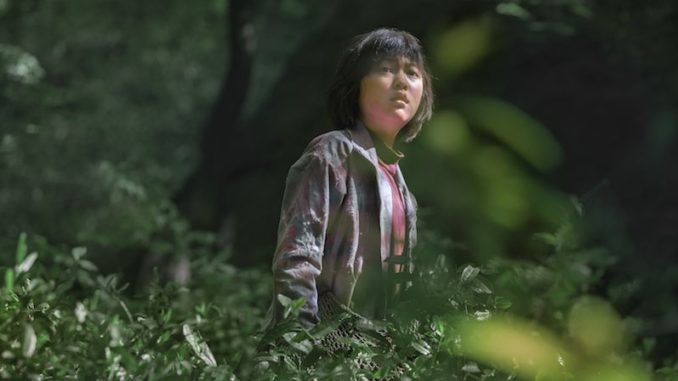Netflix produces Okja, the new Bong Joon-ho work