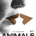 Animals (2017)