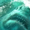 Jason Statham has already finished the filming of "The Meg"