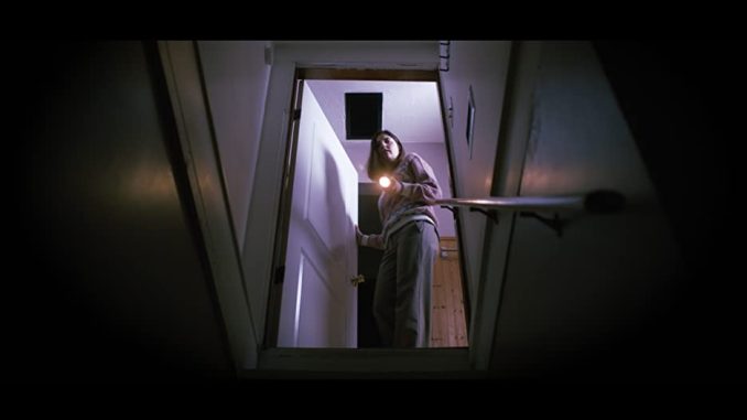 A stranger turns a family reunion into madness in "The Occupant"