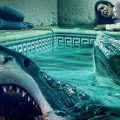 "Saw" meets "Jaws": Check out horror-thriller "Blood in the Water"