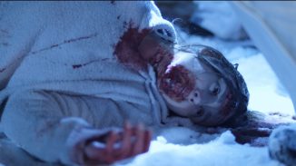 A meteorite impact in the Arctic unleashes a bloody massacre in "Blood and Snow"